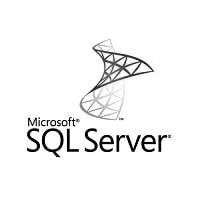 msql server logo